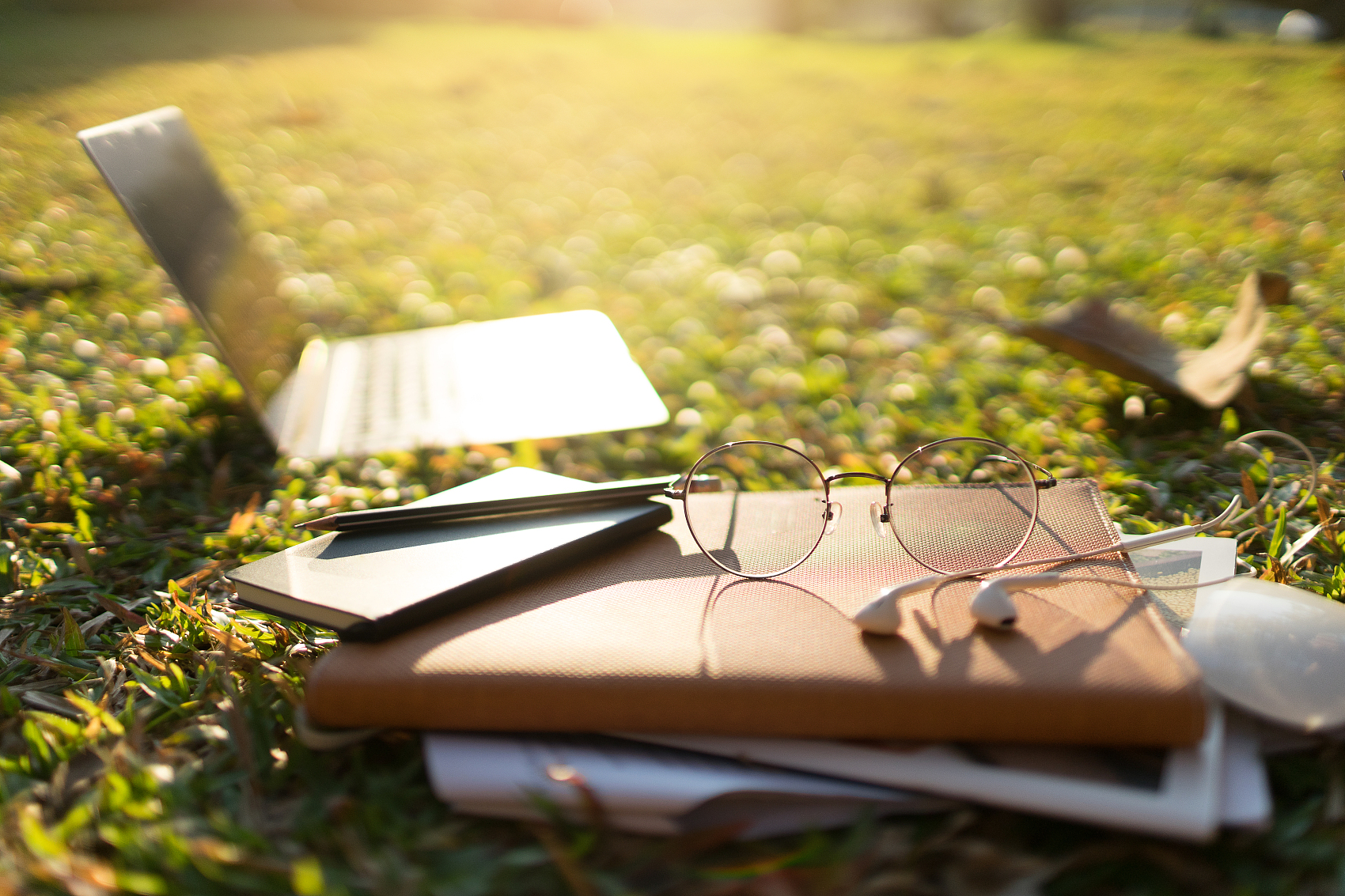 在校學(xué)生與應(yīng)屆畢業(yè)生